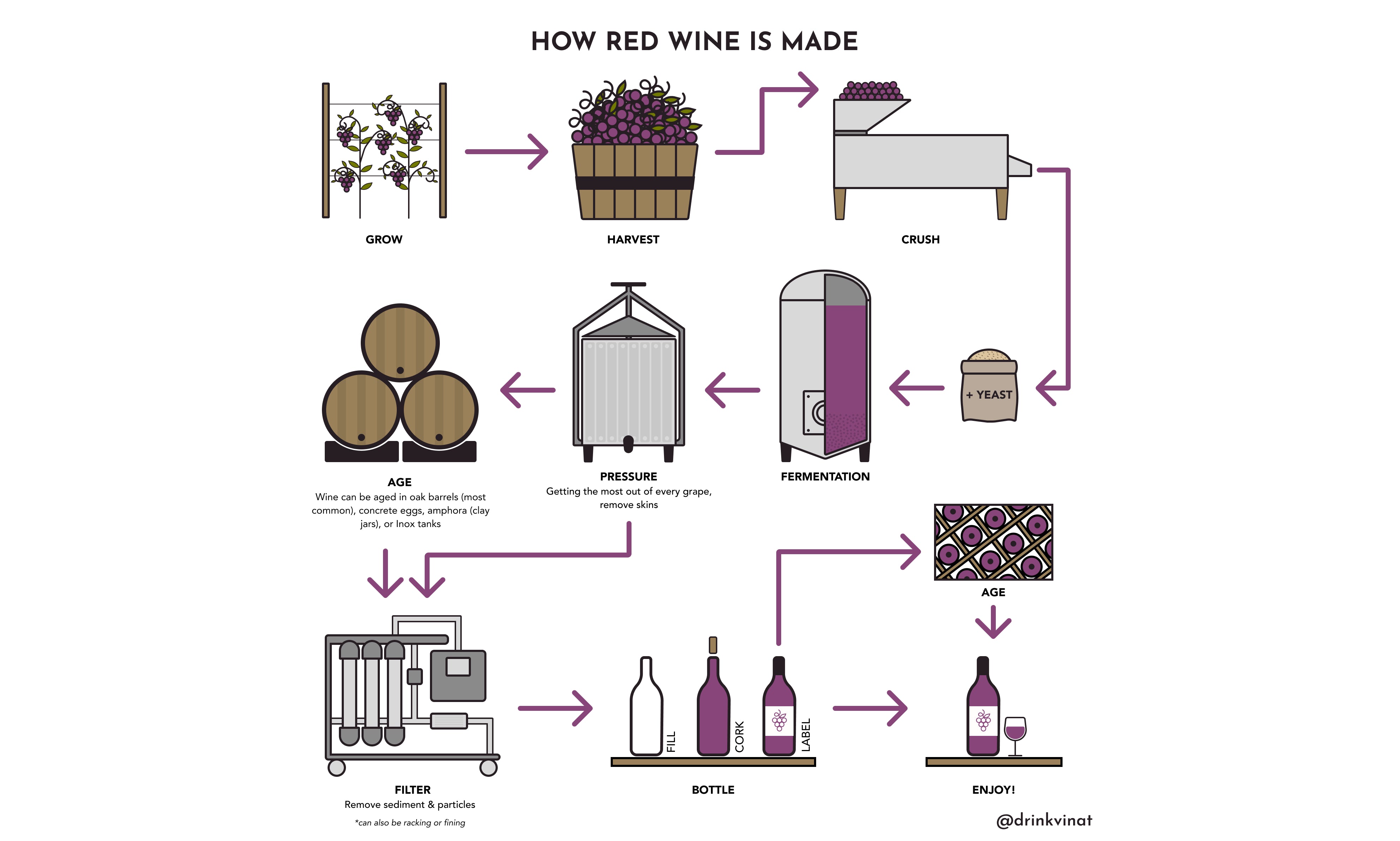 How Red Wine is Made