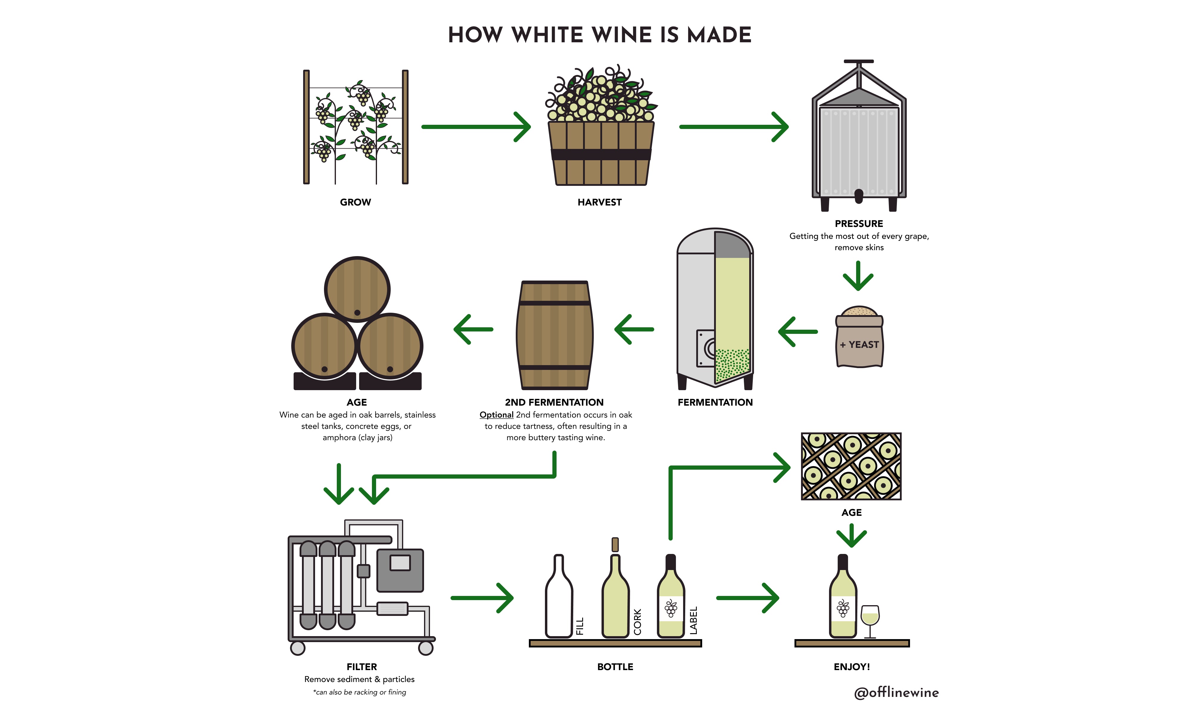 How White Wine is Made Diagram by Offline Wine