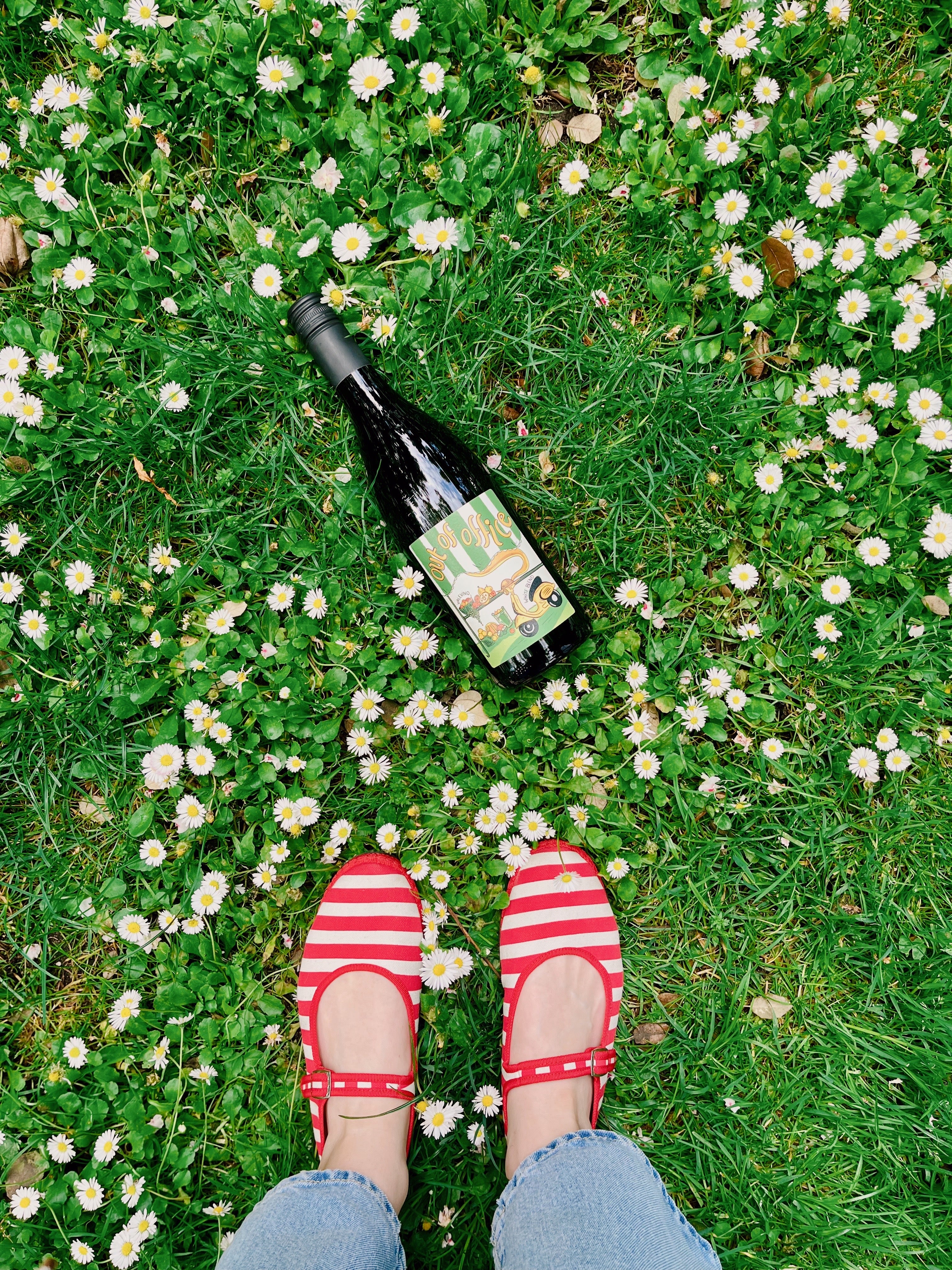 Offline Wine Slovenian White Wine in Field with Vibi Venezia Striped Shoes