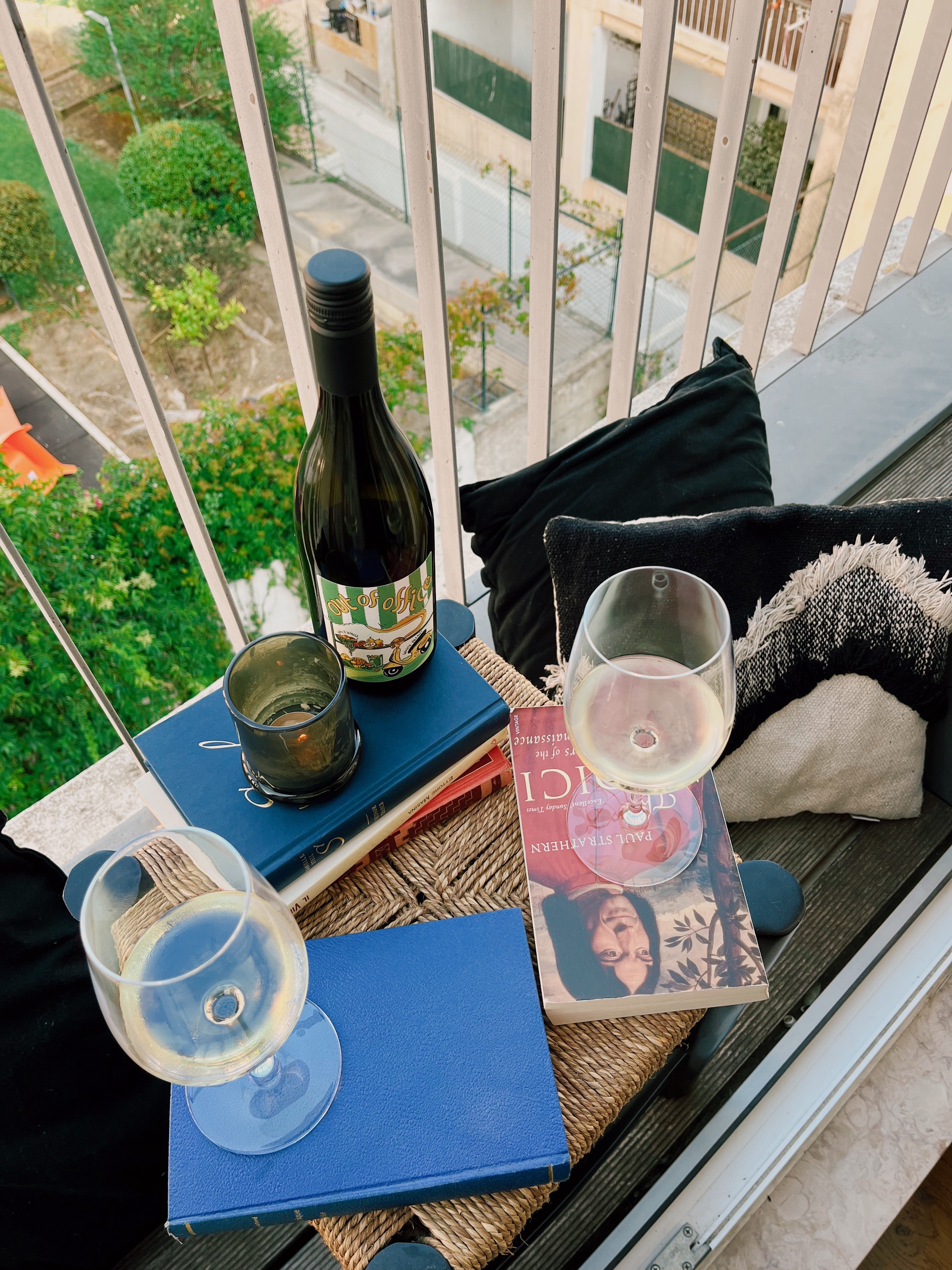 Offline Wine Slovenian Out Of Office White Blend Paired with Books